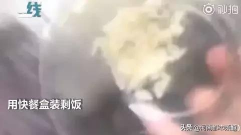 深圳一餐廳員工在外賣中加廁所水，還拍視頻發微信群！氣得外賣小哥直接舉報